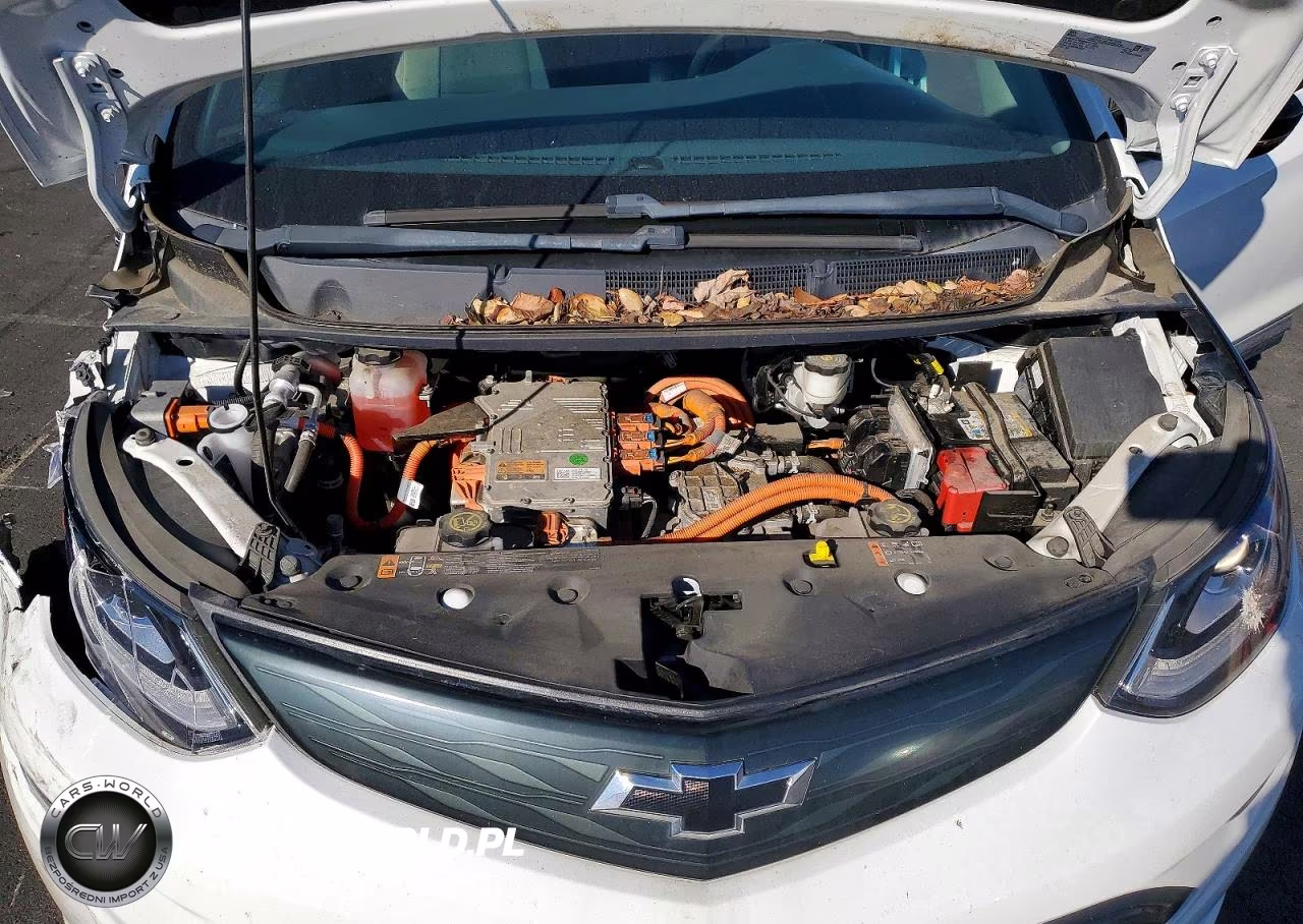 2019 Chevrolet Bolt Ev Lt VIN:1G1FY6S01K4105542 - 11