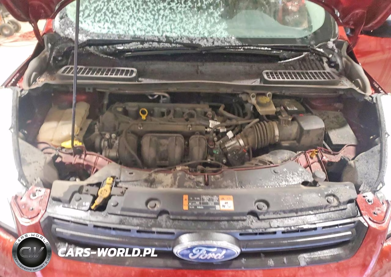 2016 Ford Escape S VIN:1FMCU0F75GUA05652 - 12