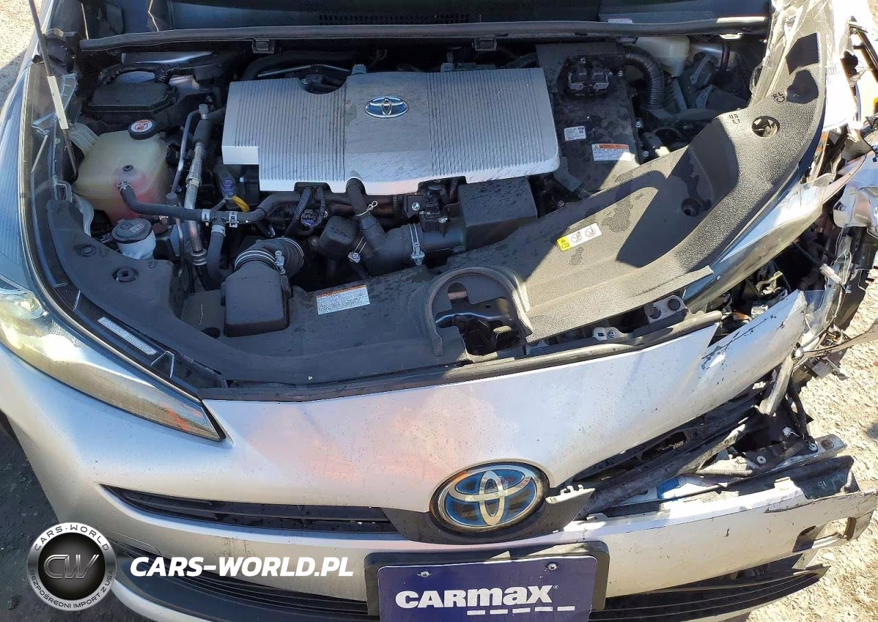 2019 Toyota Prius L Eco VIN:JTDKARFU4K3077315 - 11