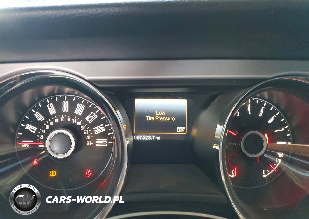 2014 Ford Mustang VIN:1ZVBP8EM1E5306596 - 9