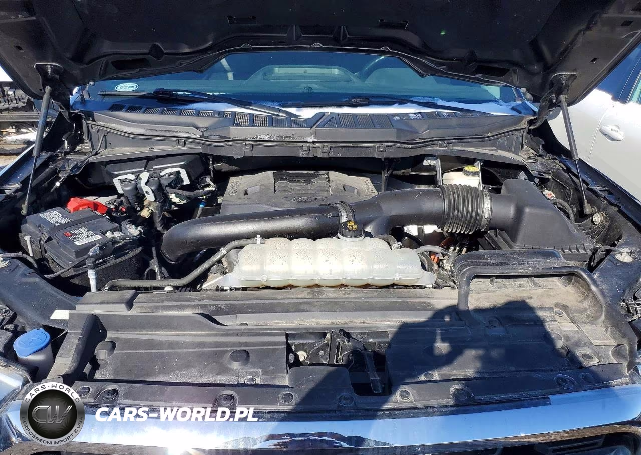 2021 Ford F150 Supercrew VIN:1FTFW1E84MKD51825 - 11