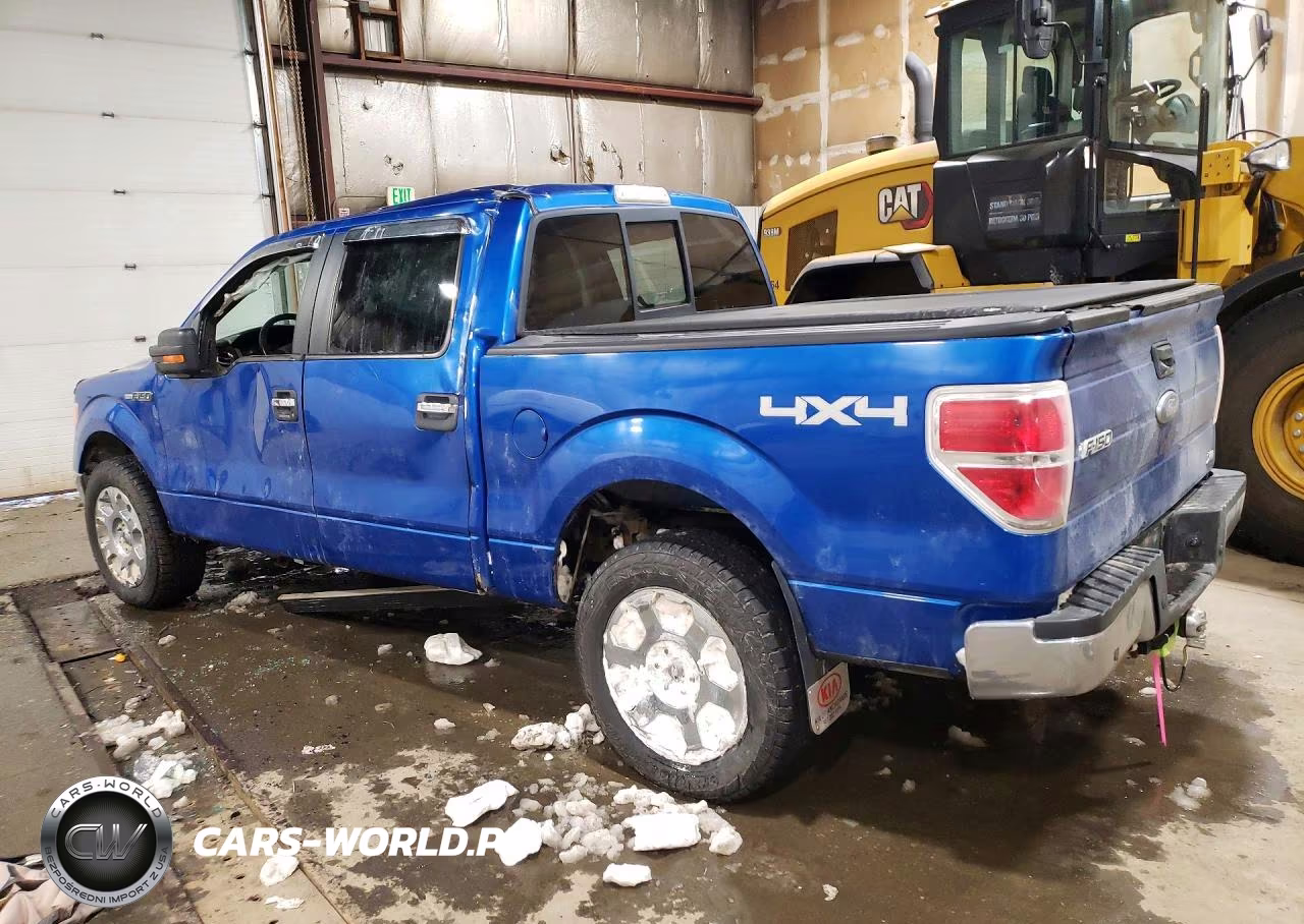 2010 Ford F150 Supercrew VIN:1FTFW1EV2AFC52897 - 2