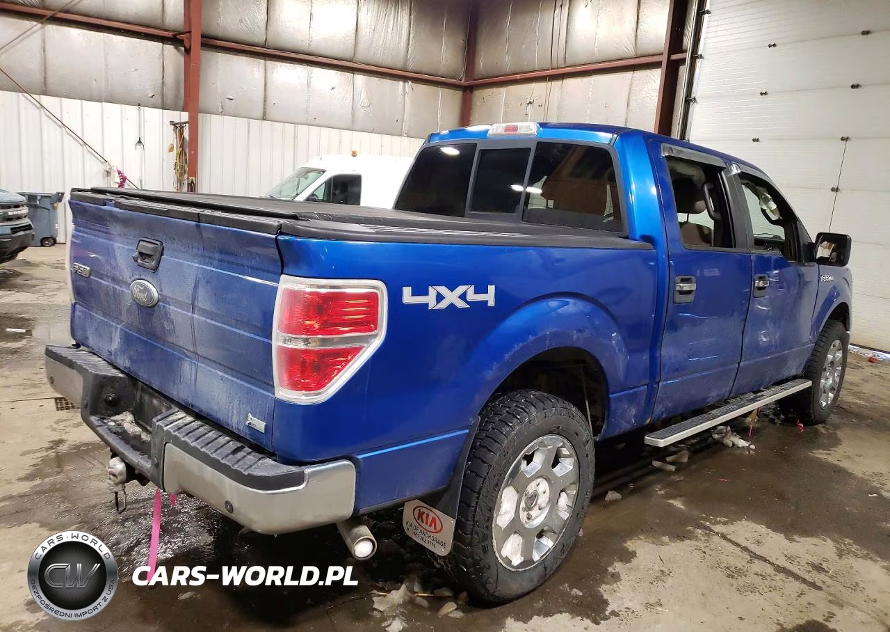 2010 Ford F150 Supercrew VIN:1FTFW1EV2AFC52897 - 3