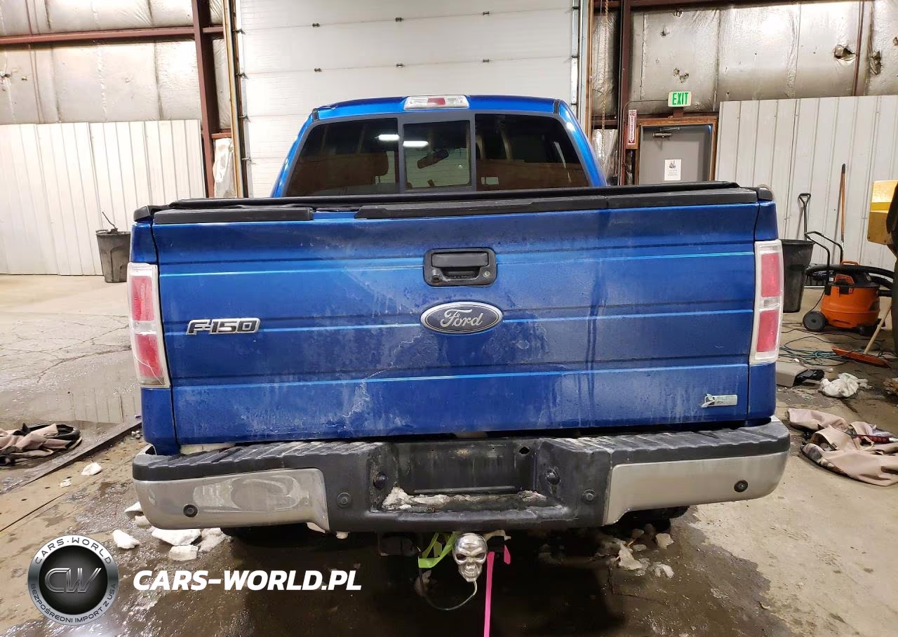 2010 Ford F150 Supercrew VIN:1FTFW1EV2AFC52897 - 6