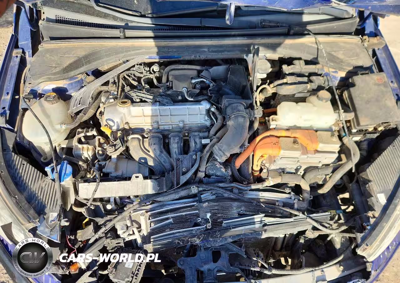 2019 Hyundai Ioniq Hybrid Sel VIN:KMHC75LC3KU131667 - 11