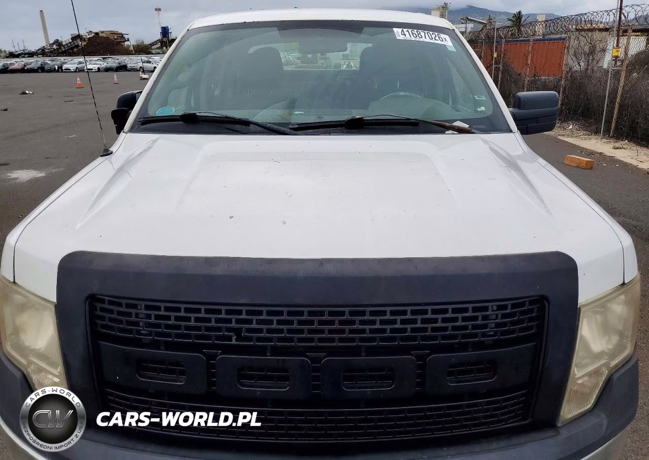 2010 Ford F150 Supercrew VIN:1FTEW1CW6AFC30702 - 11