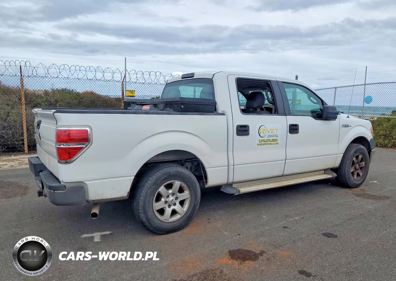 2010 Ford F150 Supercrew VIN:1FTEW1CW6AFC30702 - 3