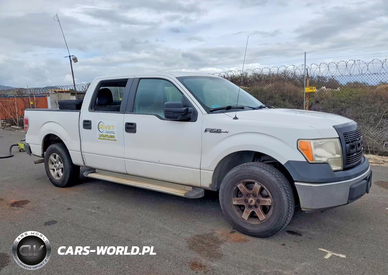 2010 Ford F150 Supercrew VIN:1FTEW1CW6AFC30702 - 4