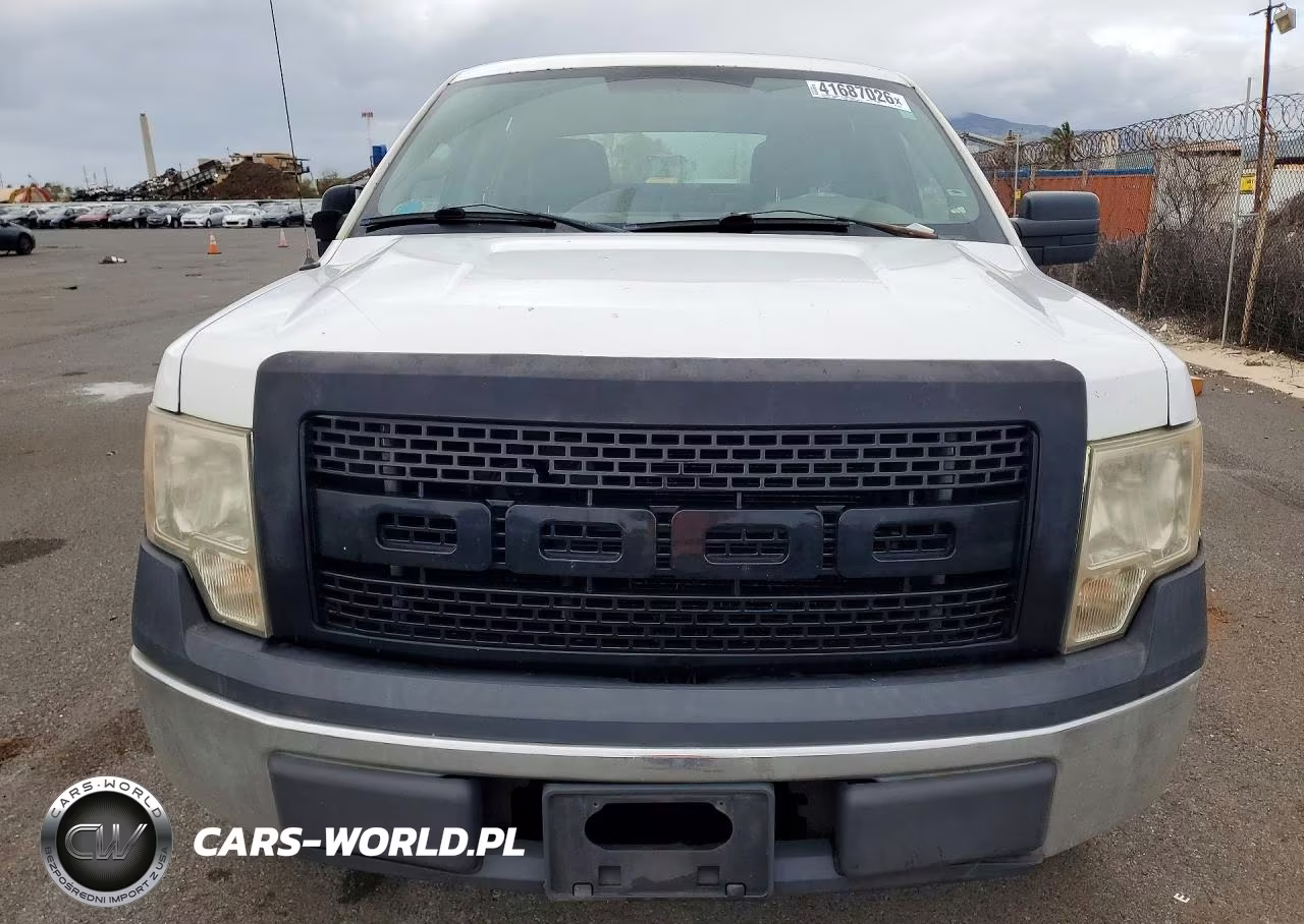 2010 Ford F150 Supercrew VIN:1FTEW1CW6AFC30702 - 5