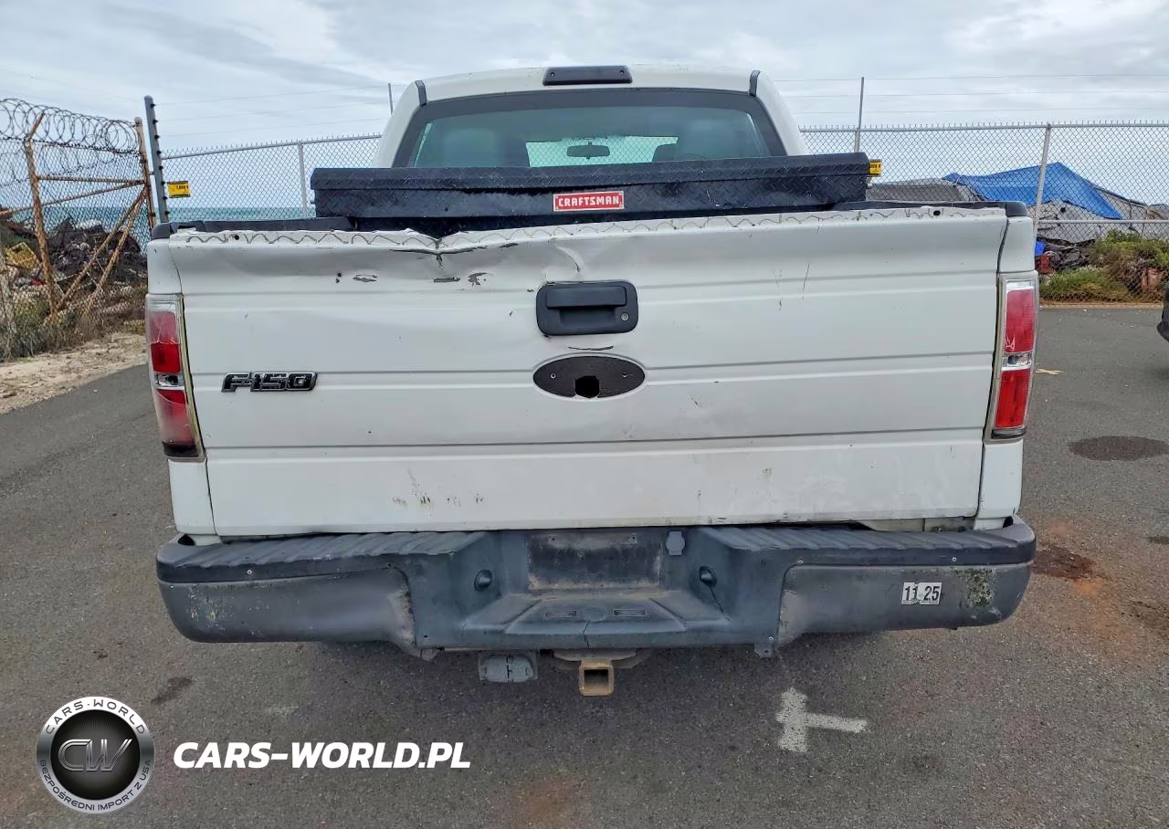 2010 Ford F150 Supercrew VIN:1FTEW1CW6AFC30702 - 6