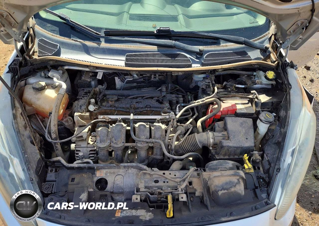 2014 Ford Fiesta Se VIN:3FADP4EJ3EM195964 - 11