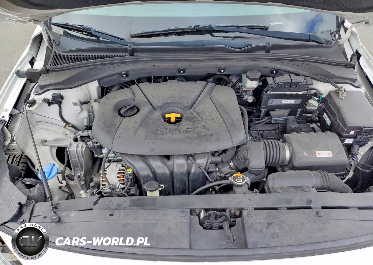 2018 Hyundai Elantra Gt Base VIN:KMHH35LE9JU031168 - 11