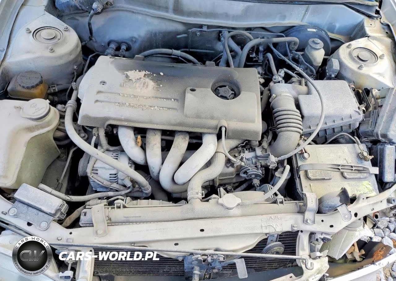 2000 Toyota Corolla Ve VIN:2T1BR12E8YC314378 - 11