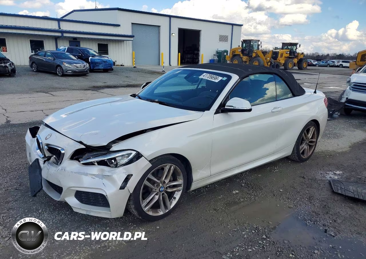 2016 BMW 228 I Sulev