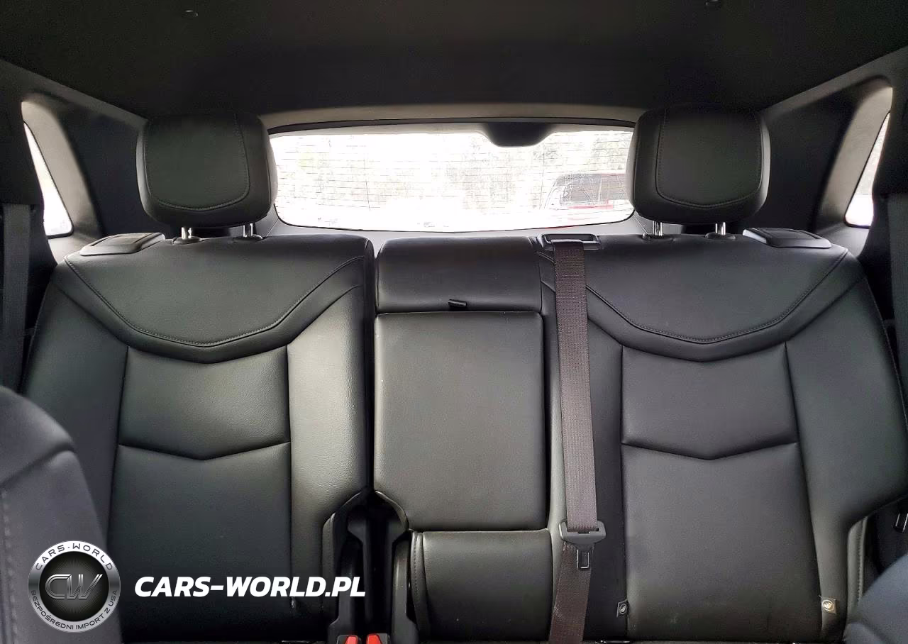 2021 Cadillac Xt5 Luxury VIN:1GYKNAR40MZ165838 - 10