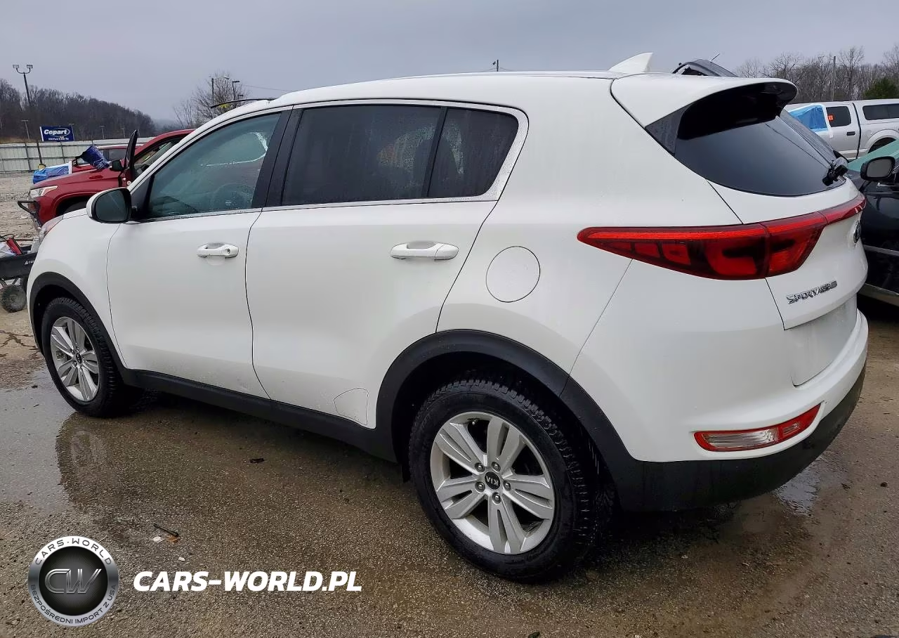 2017 Kia Sportage Lx VIN:KNDPM3AC3H7168909 - 2