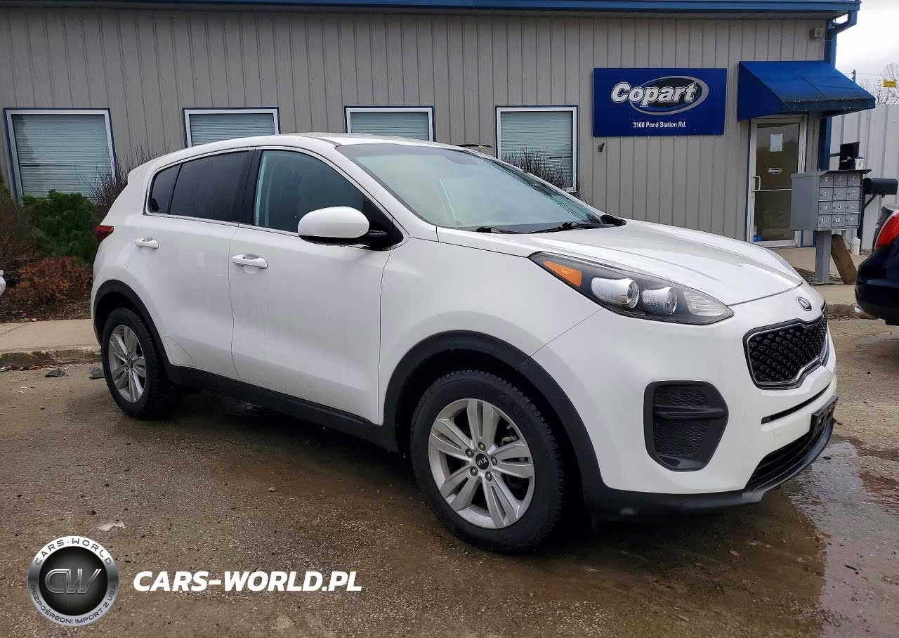 2017 Kia Sportage Lx VIN:KNDPM3AC3H7168909 - 4