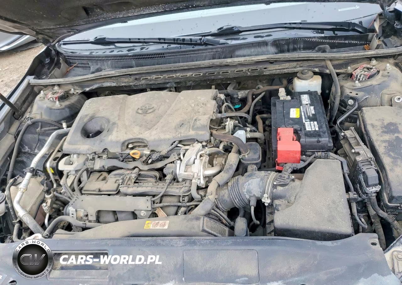2019 Toyota Camry Se VIN:4T1B11HK8KU845476 - 11