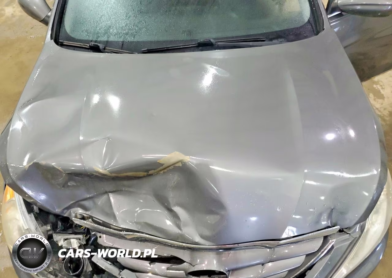 2013 Hyundai Sonata Gls VIN:5NPEB4AC4DH713542 - 11