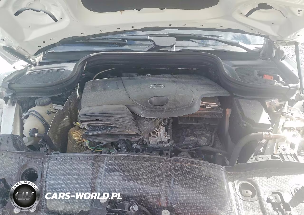 2024 Mercedes-Benz Gls 450 4Matic VIN:4JGFF5KEXRB104829 - 12