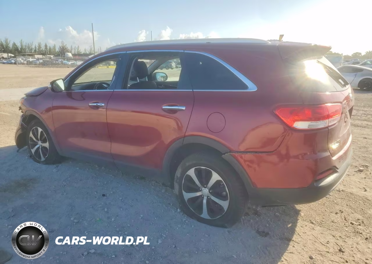 2017 Kia Sorento Ex VIN:5XYPH4A19HG240305 - 2
