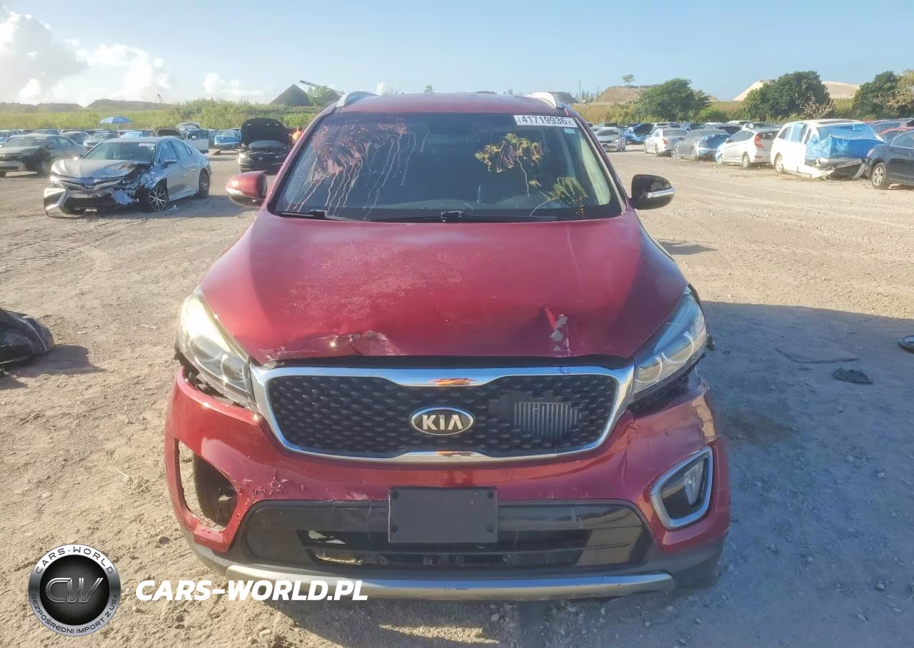 2017 Kia Sorento Ex VIN:5XYPH4A19HG240305 - 5