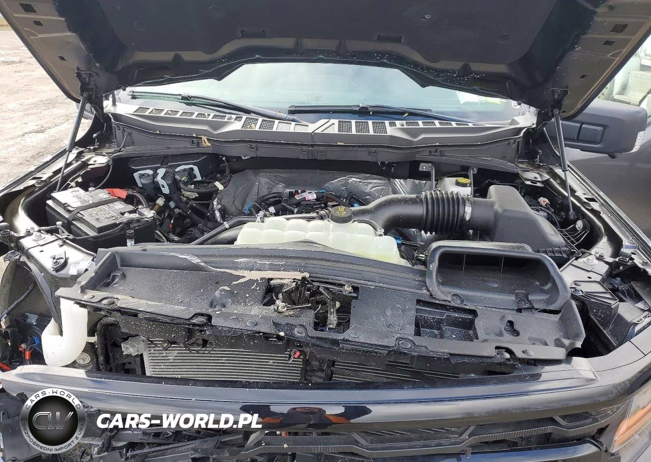 2026 Ford F150 Xlt VIN:1FTEW3LP4TKD21210 - 11