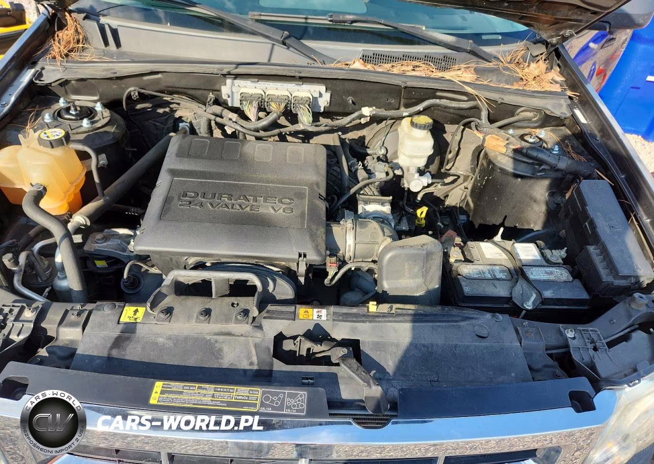 2009 Ford Escape Xlt VIN:1FMCU03G99KD06282 - 12
