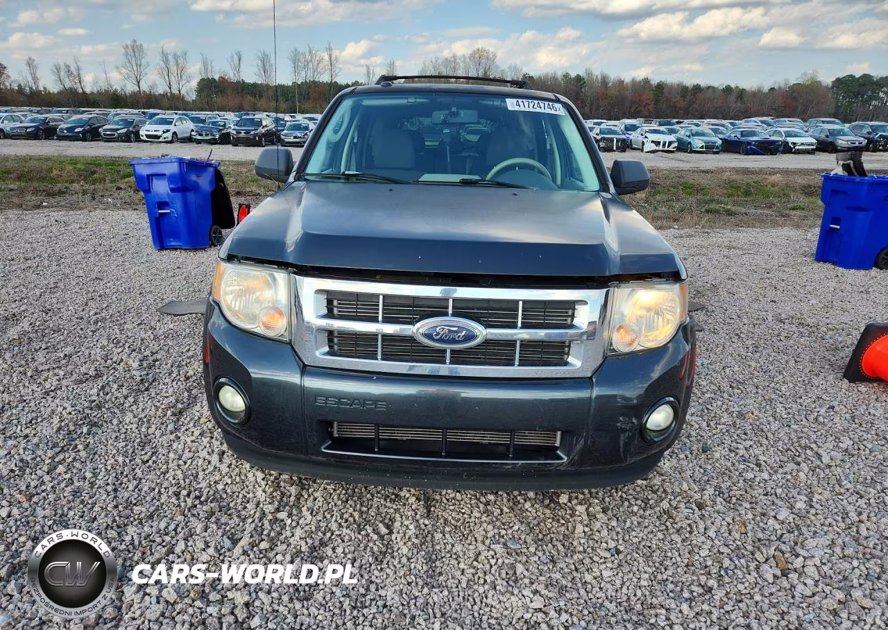 2009 Ford Escape Xlt VIN:1FMCU03G99KD06282 - 5