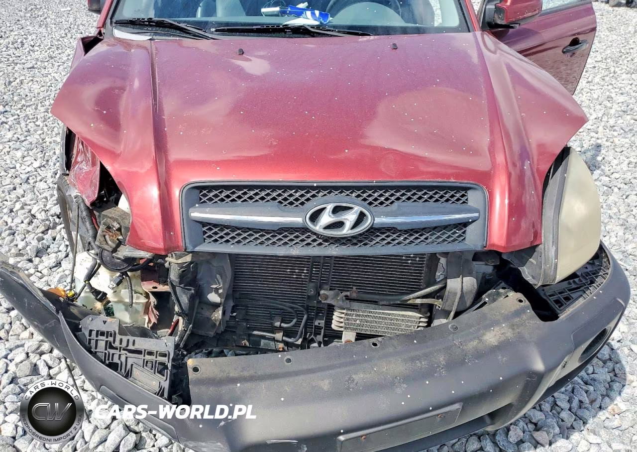 2005 Hyundai Tucson Gls VIN:KM8JN72D35U229069 - 11