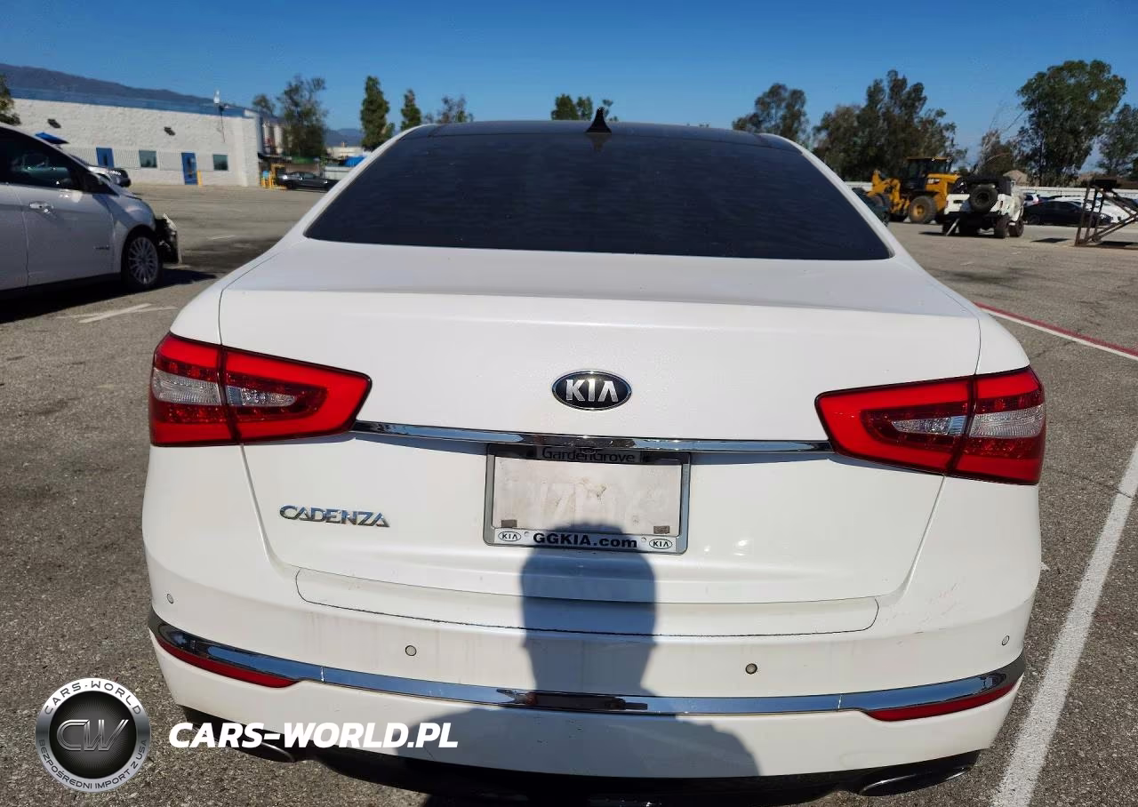 2014 Kia Cadenza Premium VIN:KNALN4D7XE5137662 - 6