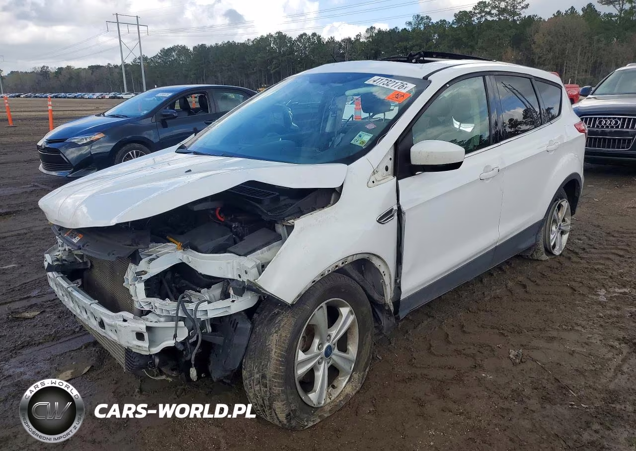 2013 Ford Escape Se