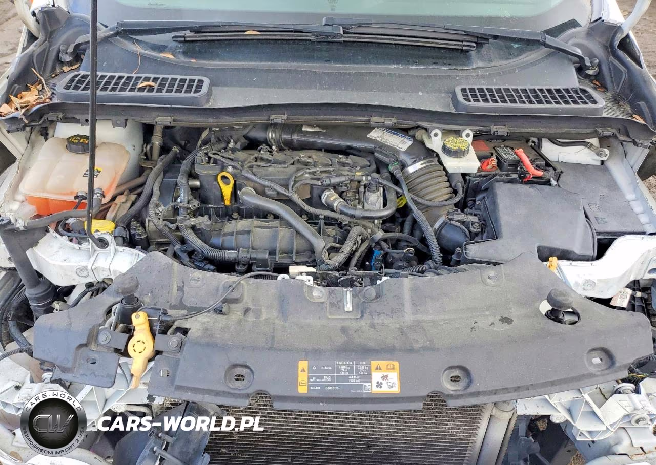 2013 Ford Escape Se VIN:1FMCU0GX2DUA47822 - 11