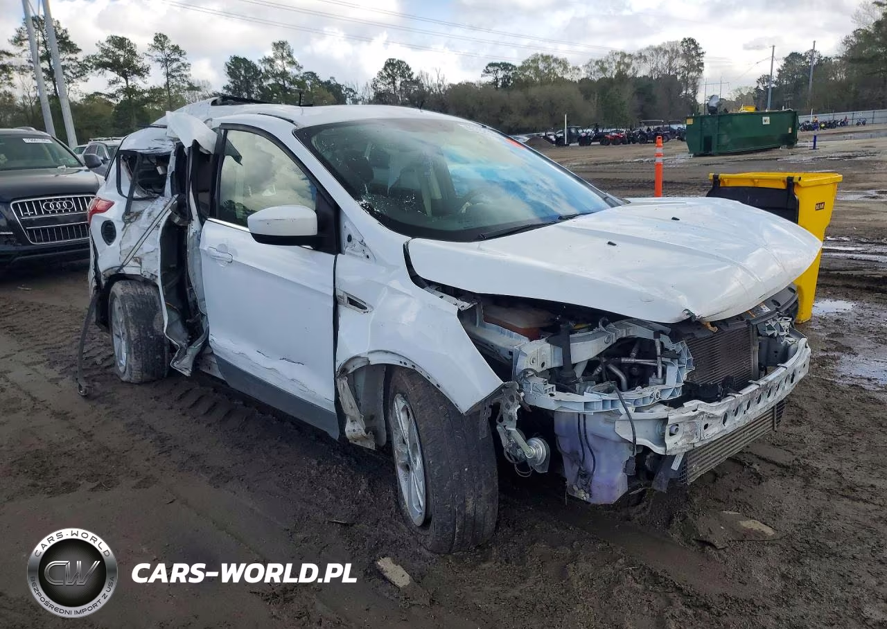 2013 Ford Escape Se VIN:1FMCU0GX2DUA47822 - 4