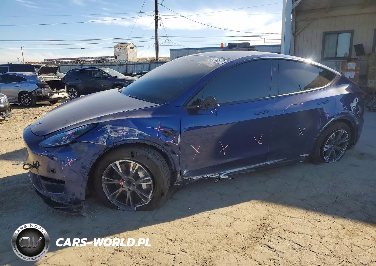 2024 Tesla Model Y