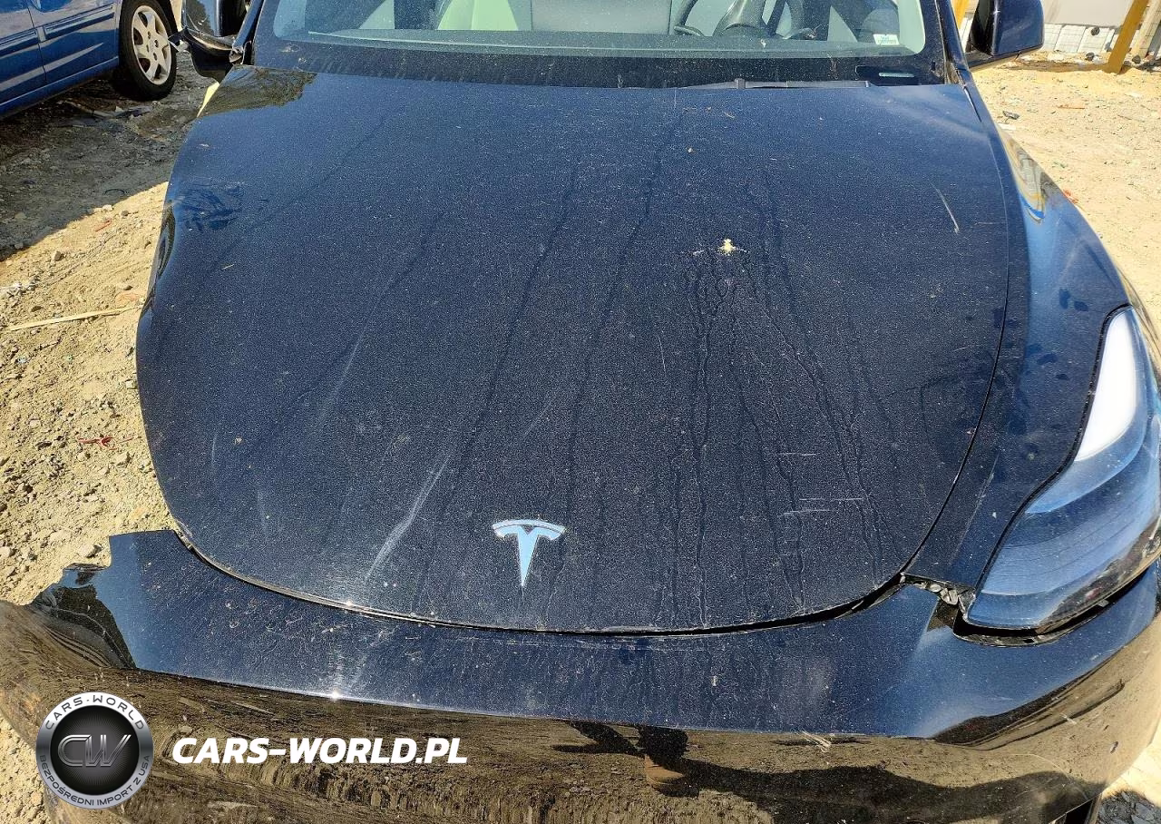 2021 Tesla Model Y VIN:5YJYGDEE5MF125299 - 11