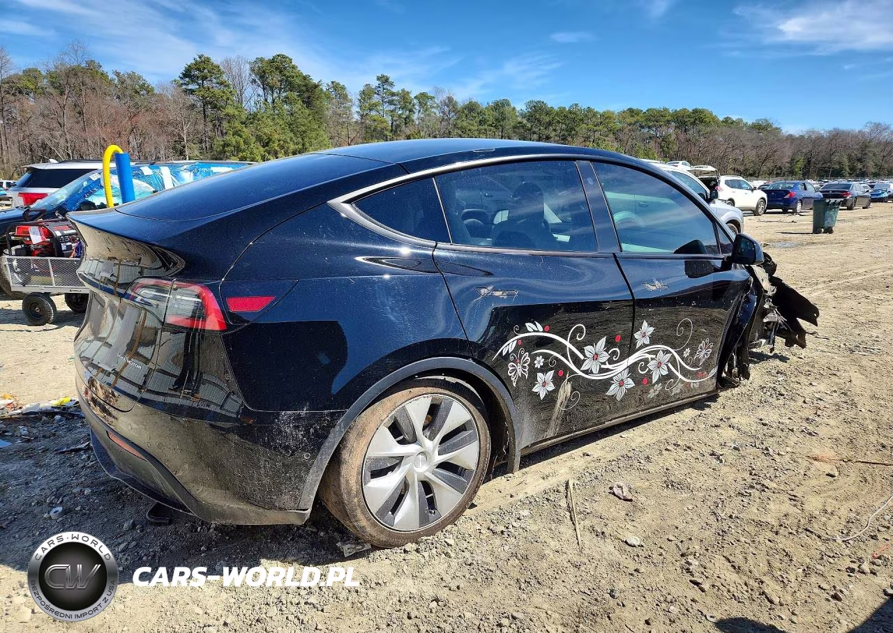 2021 Tesla Model Y VIN:5YJYGDEE5MF125299 - 3