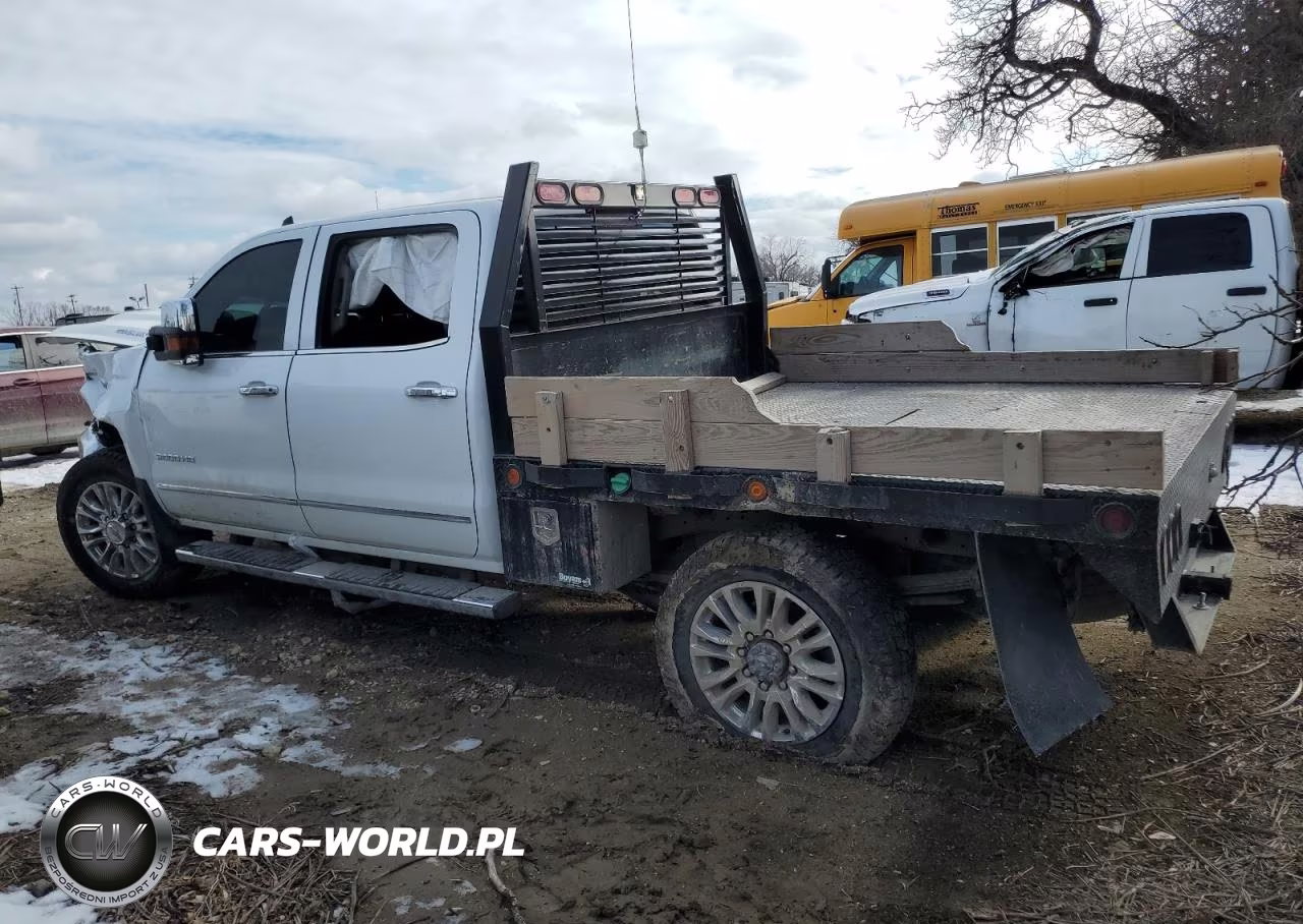 2019 Chevrolet Silverado K2500 Heavy Duty Ltz VIN:1GC1KTEY3KF146973 - 2