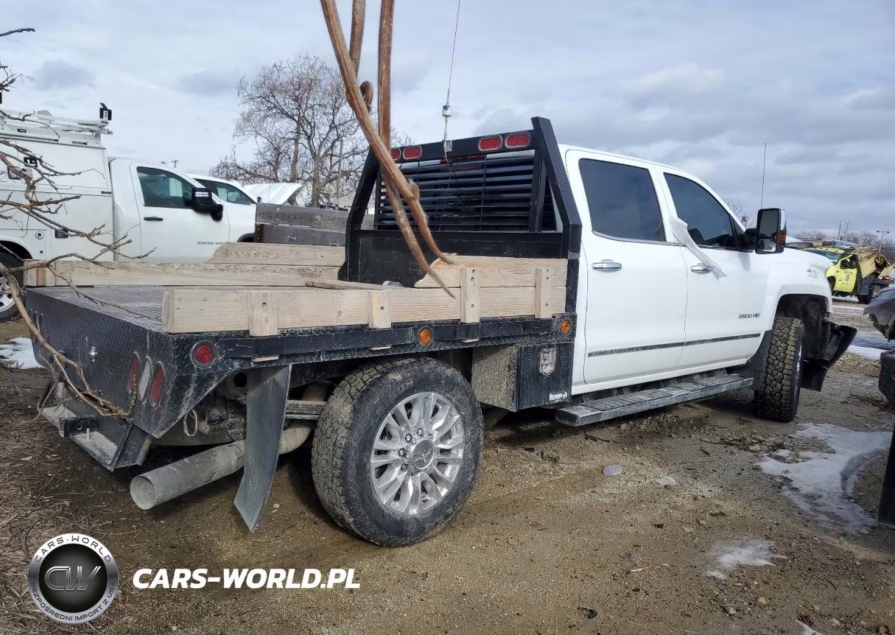 2019 Chevrolet Silverado K2500 Heavy Duty Ltz VIN:1GC1KTEY3KF146973 - 3