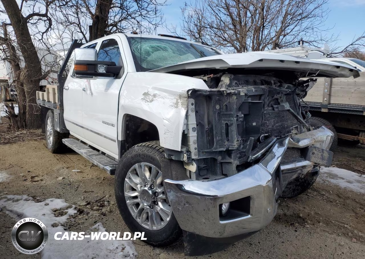 2019 Chevrolet Silverado K2500 Heavy Duty Ltz VIN:1GC1KTEY3KF146973 - 4