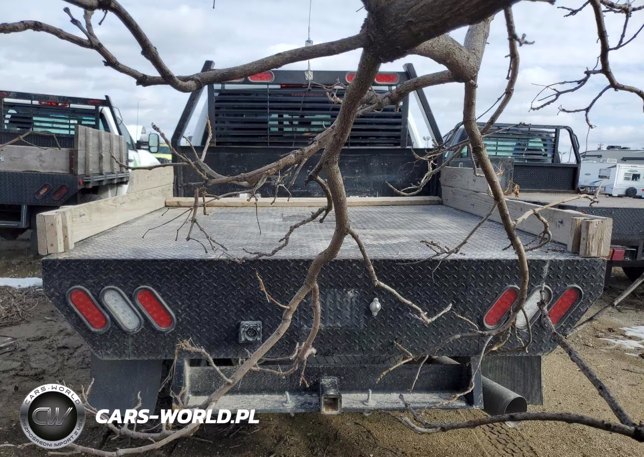 2019 Chevrolet Silverado K2500 Heavy Duty Ltz VIN:1GC1KTEY3KF146973 - 6