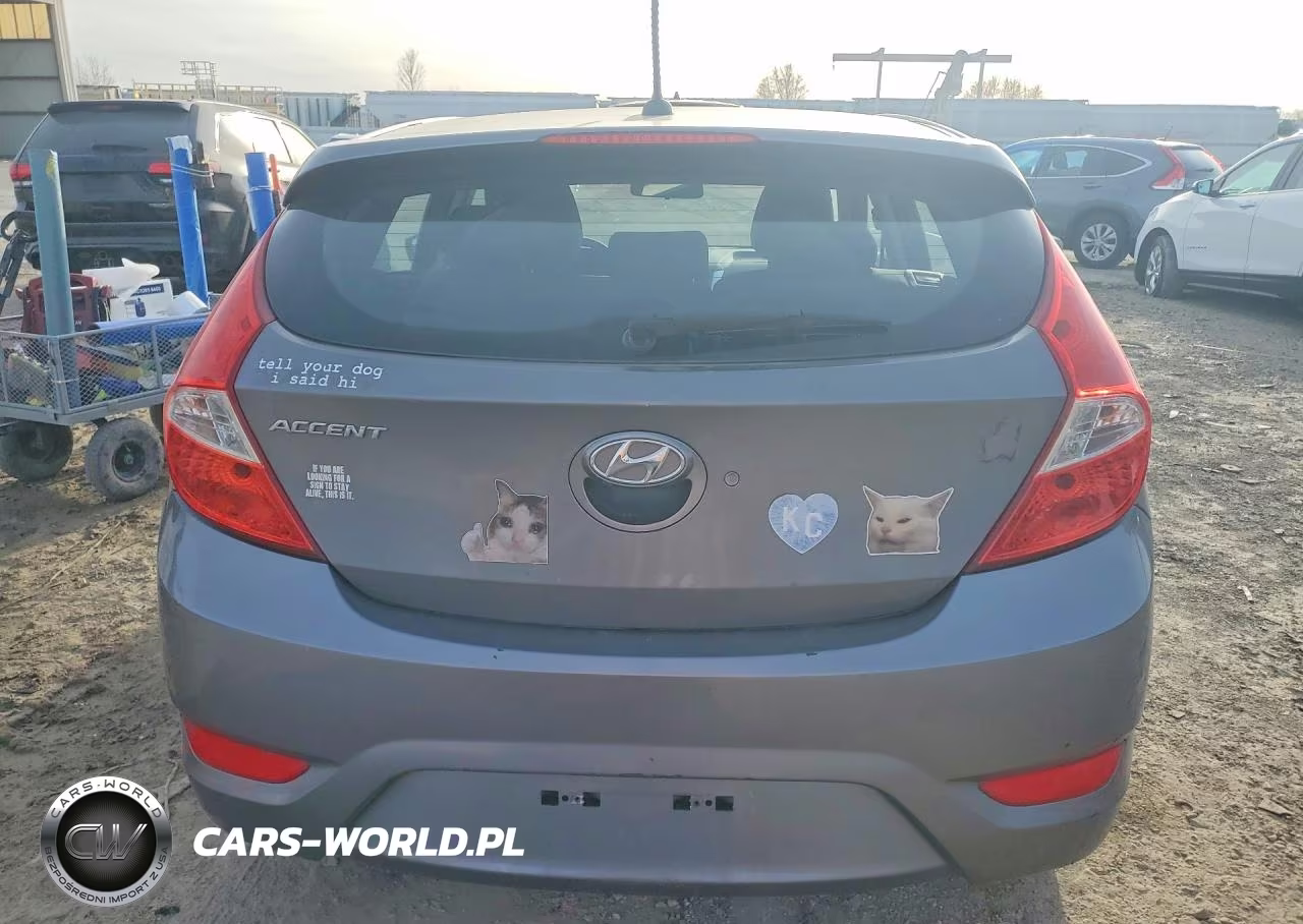 2014 Hyundai Accent Se VIN:KMHCU5AE8EU190070 - 6