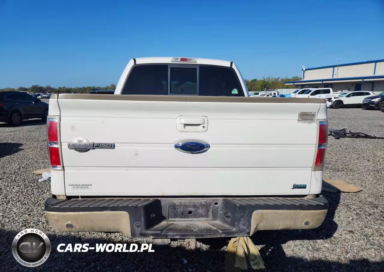 2010 Ford F150 Supercrew VIN:1FTFW1EV5AKA90514 - 6