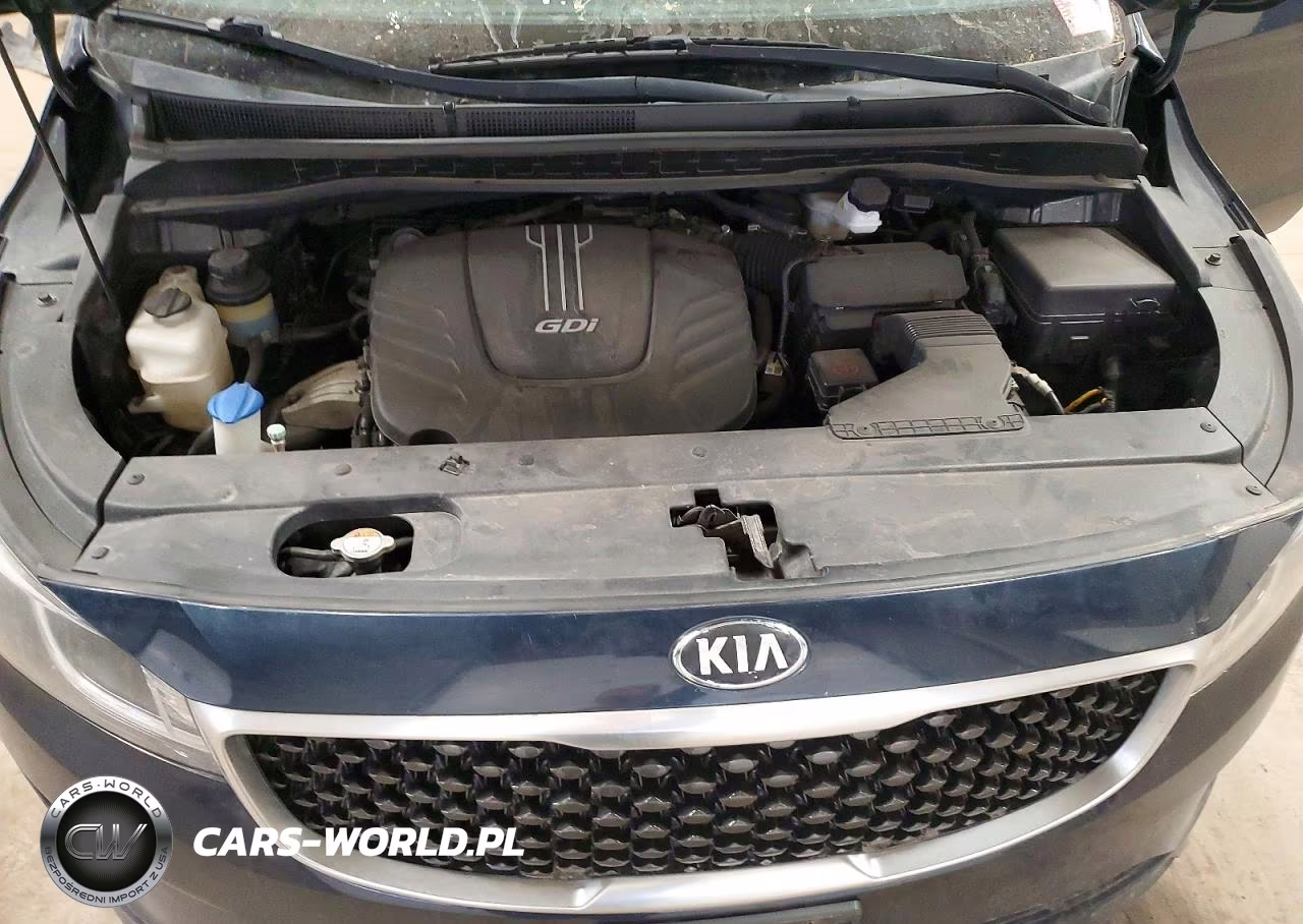 2016 Kia Sedona Lx VIN:KNDMB5C1XG6082436 - 12