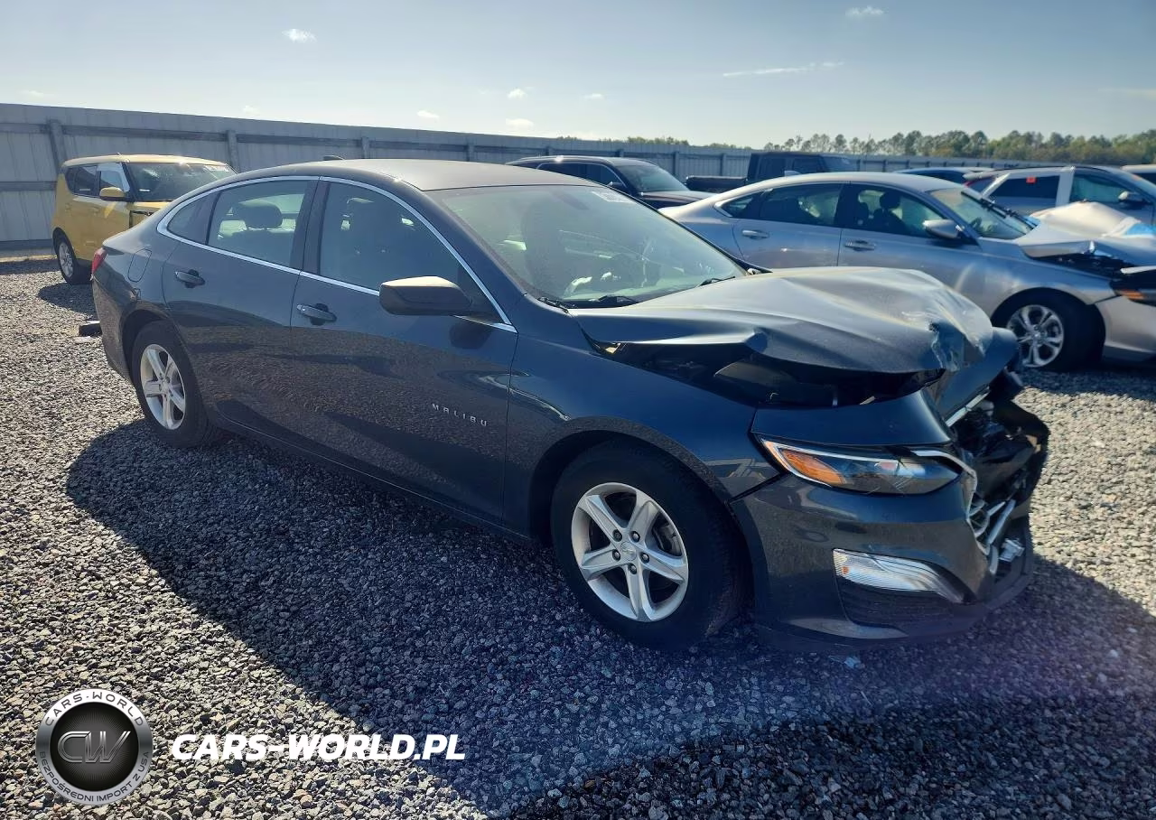 2019 Chevrolet Malibu Ls VIN:1G1ZB5ST2KF157236 - 4