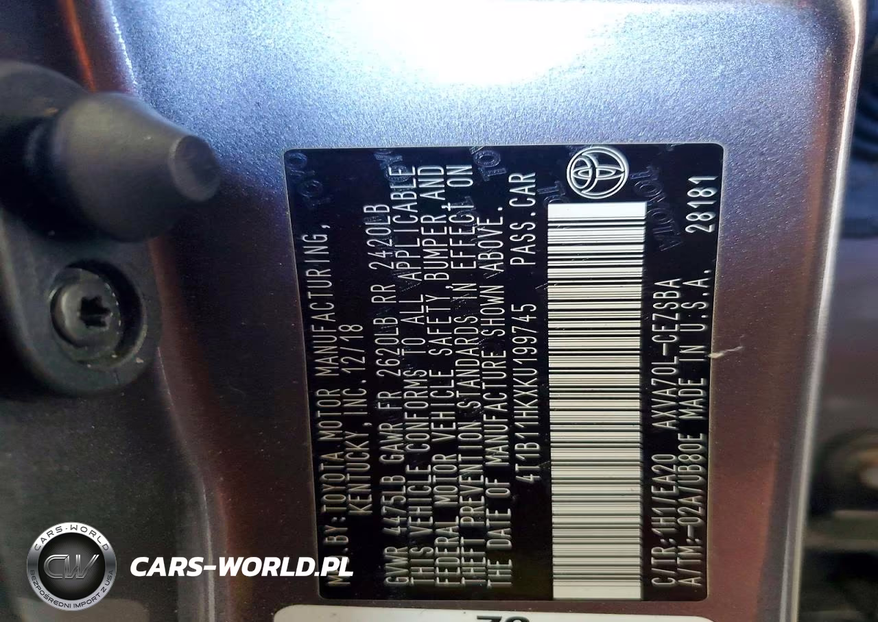 2019 Toyota Camry Se VIN:4T1B11HKXKU199745 - 12