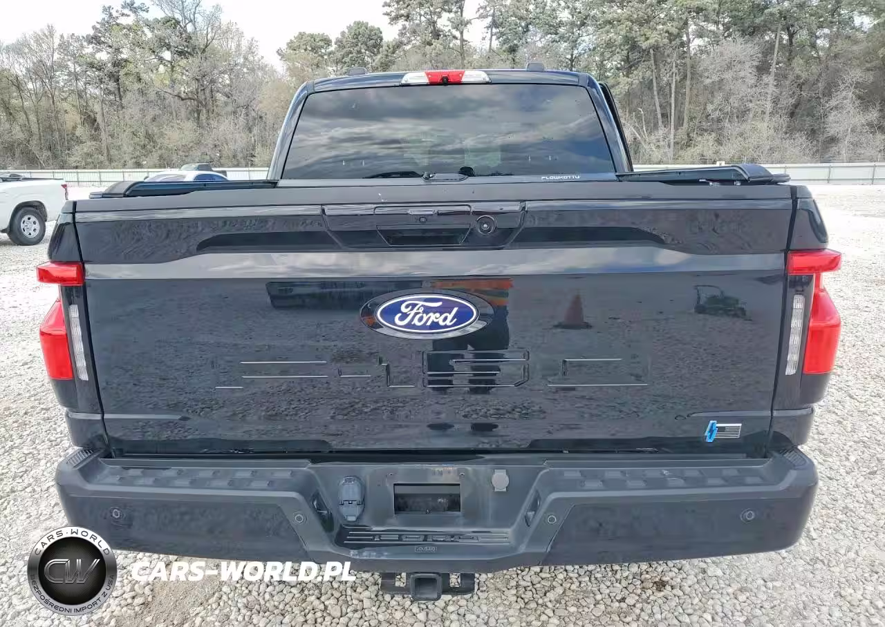 2024 Ford F150 Lightning Xlt VIN:1FTVW3L70RWG16970 - 6