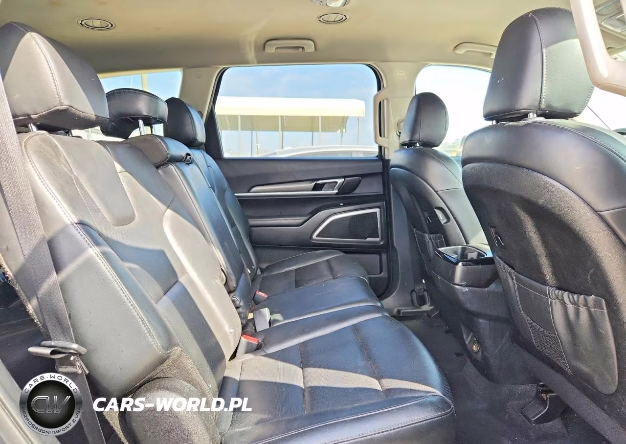 2021 Kia Telluride Lx VIN:5XYP2DHC9MG097245 - 11