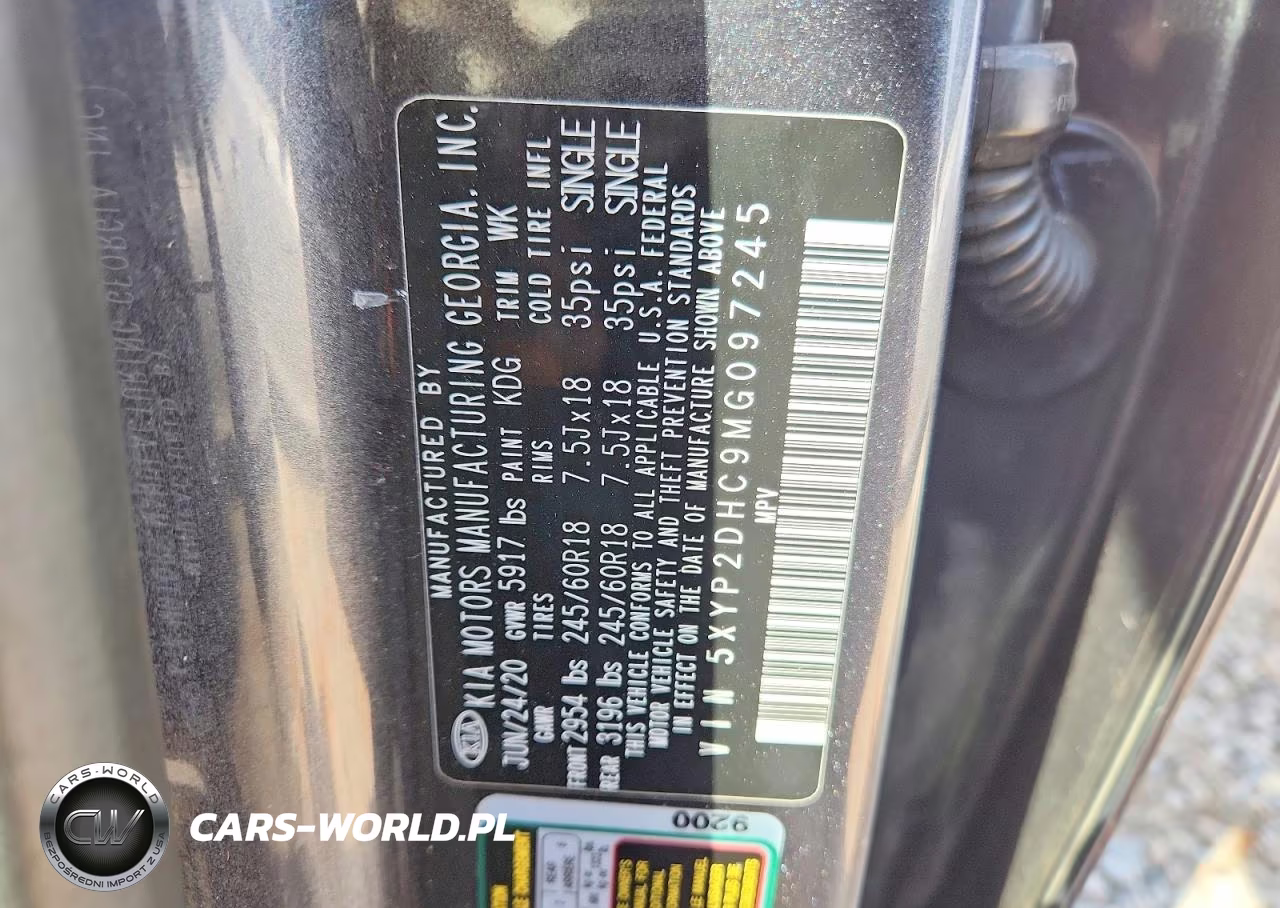 2021 Kia Telluride Lx VIN:5XYP2DHC9MG097245 - 13