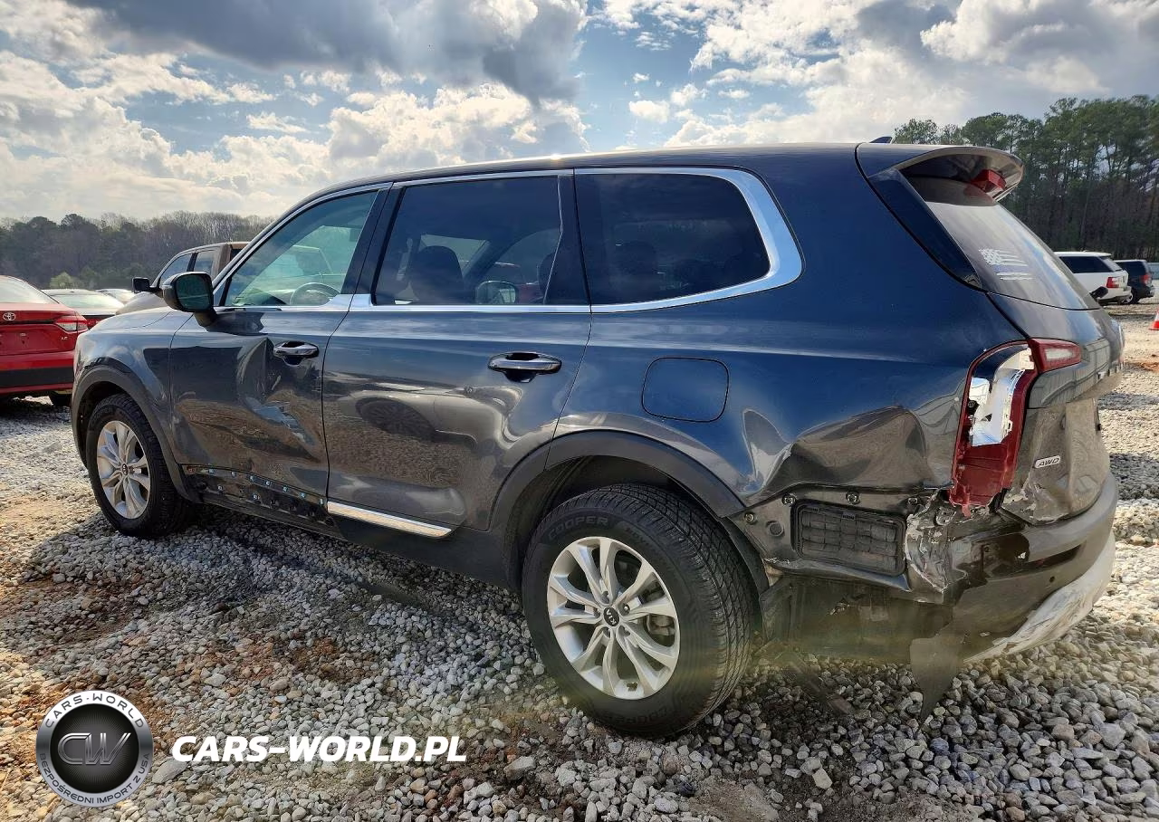 2021 Kia Telluride Lx VIN:5XYP2DHC9MG097245 - 2